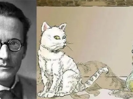 薛定谔的猫是啥意思（理想实验）