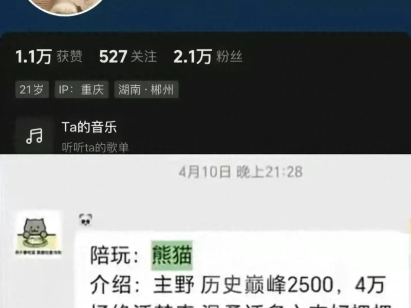 胖猫事情来龙去脉曝光！沉沦爱情陷阱，聊天记录看了让人心寒愤怒