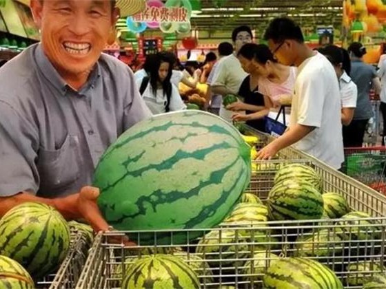 韩国的西瓜为什么这么贵 中国却能够实现自由（西瓜自由）