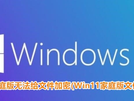 win11家庭版无法给文件加密(Win11家庭版文件加密失效)