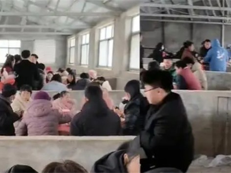 婚宴遇大雪宾客在猪圈里吃席 在猪圈吃席合理吗