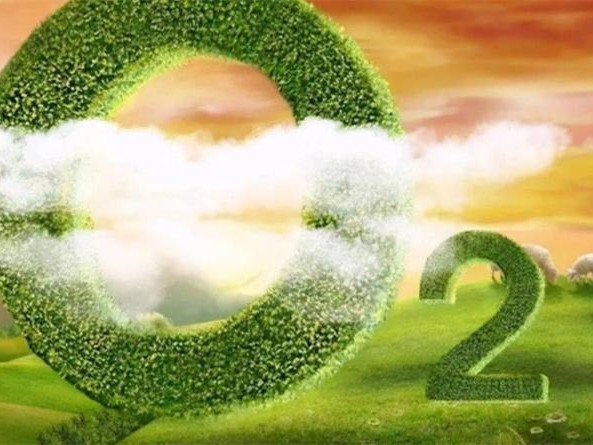 如果地球的氧气含量突然增加一倍，会发生什么？