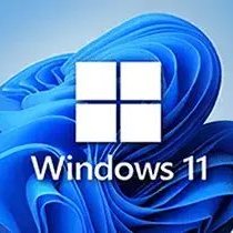 不忘初心 Windows 11 v22H2(22621.2134)精简版