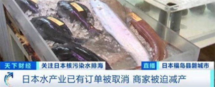 日本超市目前已经停止售卖水产品 日本企业心态崩了 第3张 日本超市目前已经停止售卖水产品 日本企业心态崩了 第3张