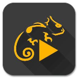 蜥蜴音乐播放器(Stellio Player) v6.10.0 去广告解锁高级版