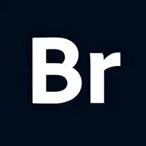 Adobe Bridge 2026(矢量绘图软件) v16.0.5.19.00 直装版