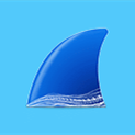 Wireshark中文版(网络抓包工具) v4.6.8 多语便携版