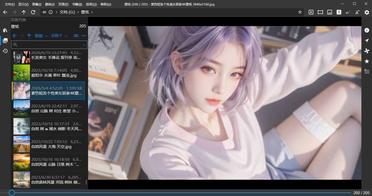 NeeView(高效图片浏览器) v46.0 中文绿色版 第1张